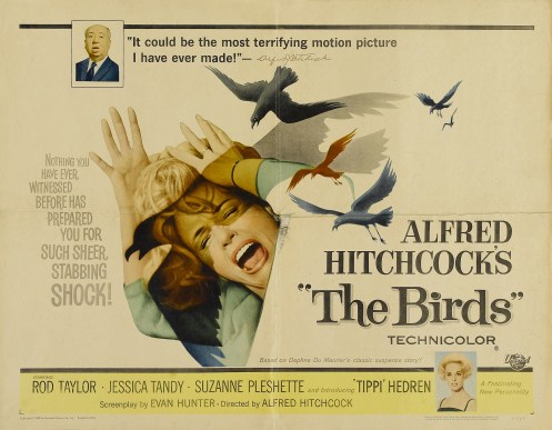 the birds (1963)