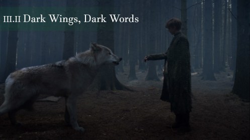 Dark Wings Dark Words